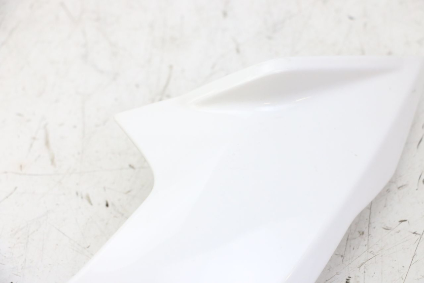 photo de INTERIEUR TETE FOURCHE GAUCHE BMW G310 R 310 (2016 - 2020)