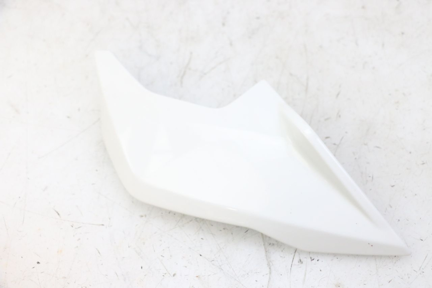 photo de INTERIEUR TETE FOURCHE GAUCHE BMW G310 R 310 (2016 - 2020)