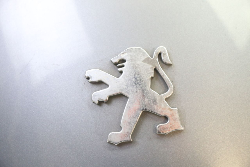 photo de JONCTION CARENAGE ARRIERE PEUGEOT SATELIS 250 (2006 - 2012)