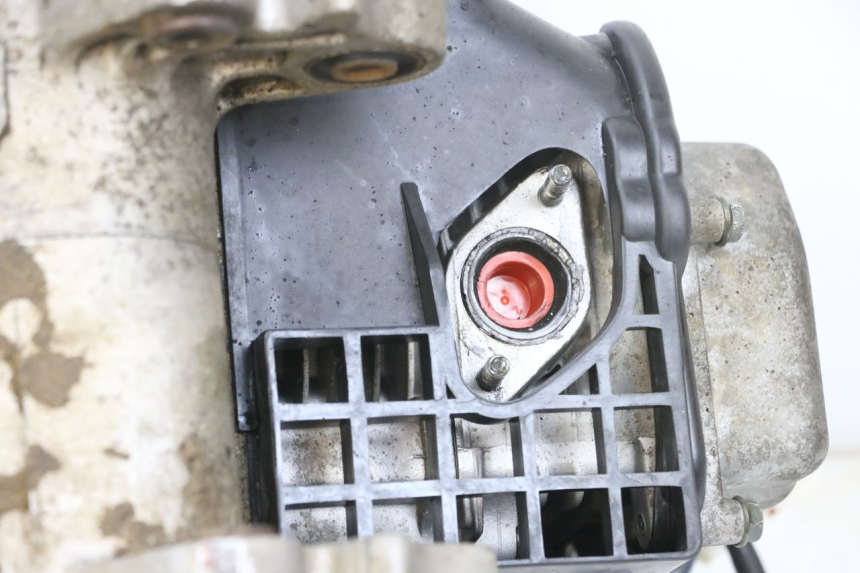 photo de MOTEUR LONGJIA DIGITA 4T 50 (2019 - 2022) - Zoom état d’usage