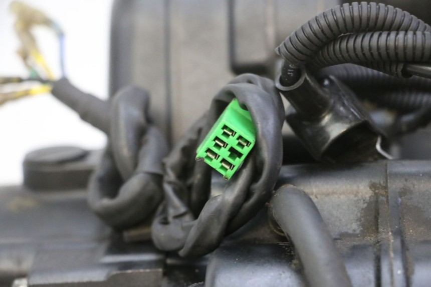 photo de MOTEUR STAHO FH 50 (2018 - 2019)