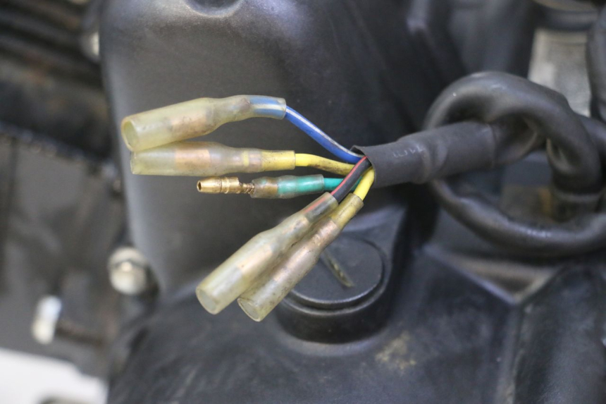 photo de MOTEUR STAHO FH 50 (2018 - 2019)