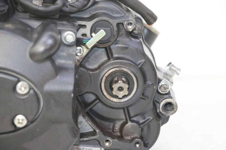 photo de MOTEUR STAHO FH 50 (2018 - 2019)