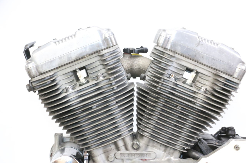 photo de MOTEUR HARLEY DAVIDSON SPORTSTER XL CUSTOM 883 (1999 - 2006)