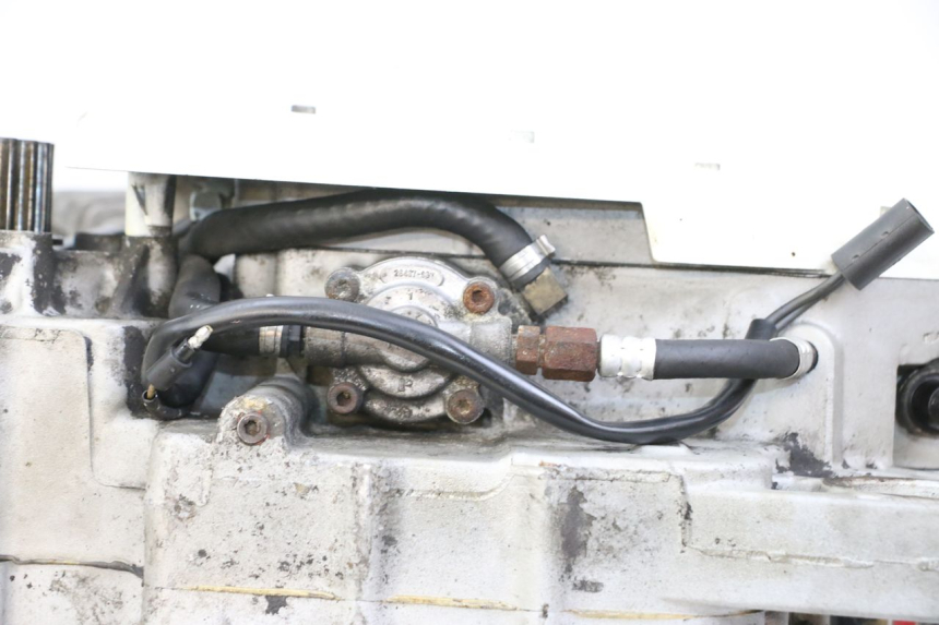 photo de MOTEUR HARLEY DAVIDSON SPORTSTER XL CUSTOM 883 (1999 - 2006)