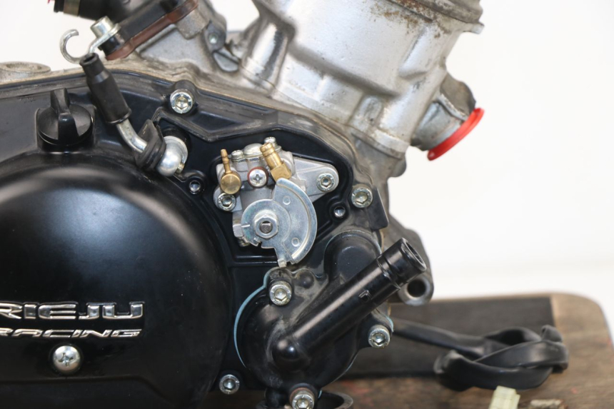 photo de MOTEUR RIEJU MRT 50 (2018 - 2021)