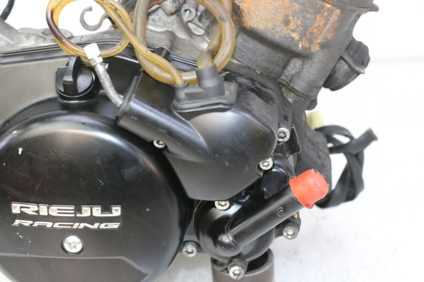 photo de MOTEUR RIEJU MRT 50 (2018 - 2021)