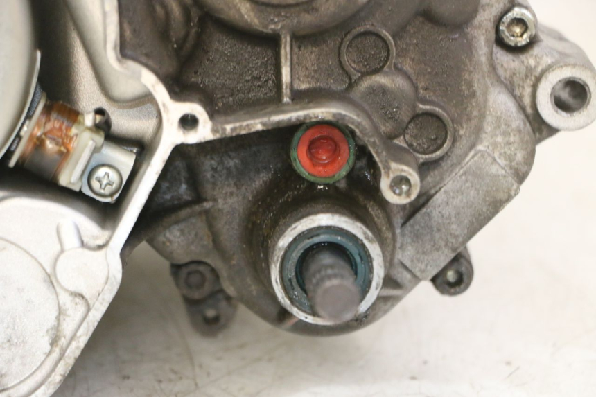 photo de MOTEUR RIEJU MRT 50 (2018 - 2021)