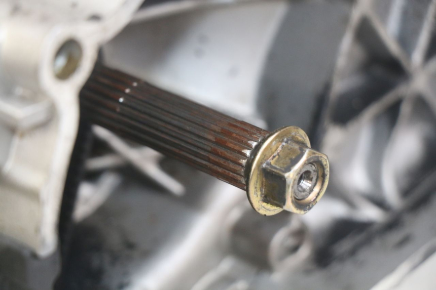 photo de MOTEUR PIAGGIO NEW TYPHOON 50 (2010 - 2017)