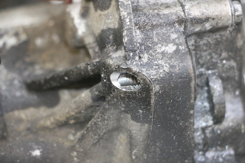 photo de MOTEUR GILERA NEXUS 125 (2009 - 2013)