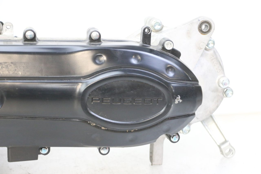 photo de MOTEUR PEUGEOT TWEET 4T 50 (2023 - 2025)