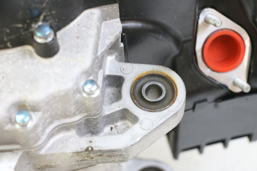 photo de MOTEUR PEUGEOT TWEET 4T 50 (2023 - 2025)