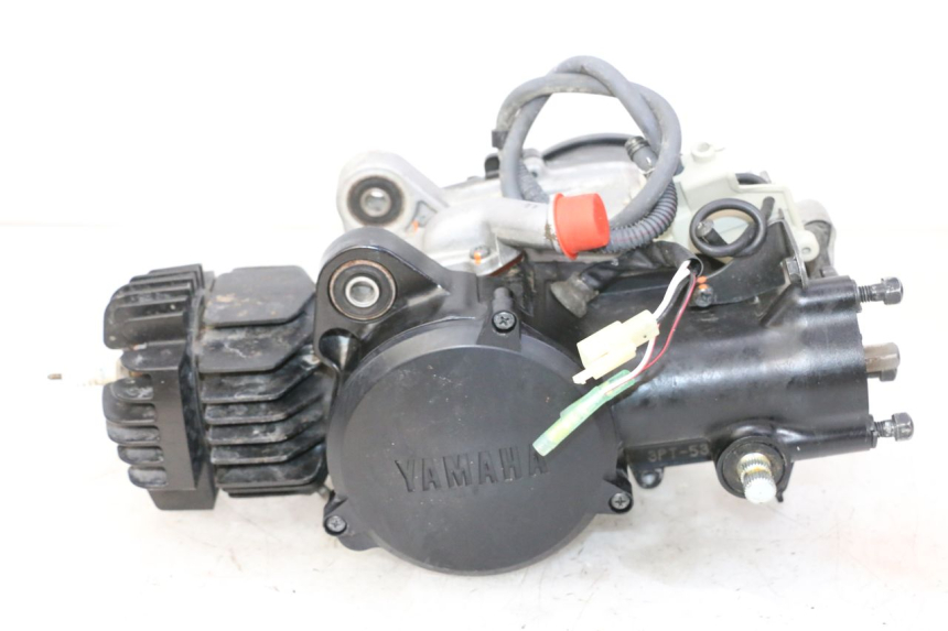 photo de MOTEUR YAMAHA PW 50 (1984 - 2020)