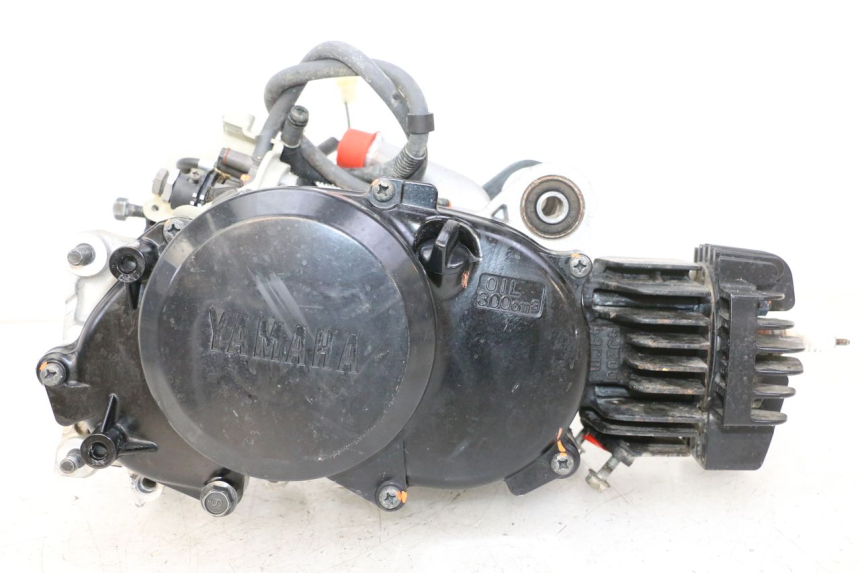 photo de MOTEUR YAMAHA PW 50 (1984 - 2020)