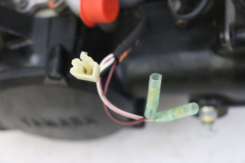 photo de MOTEUR YAMAHA PW 50 (1984 - 2020)