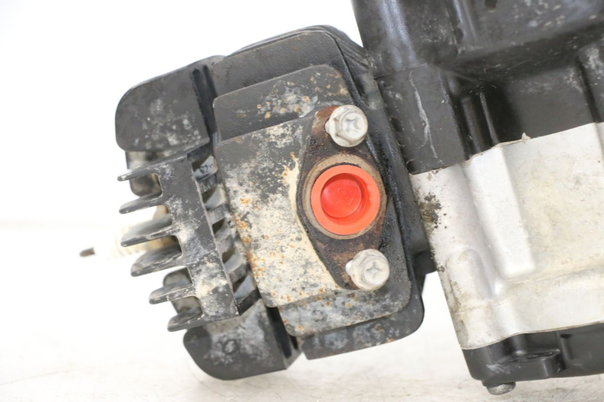 photo de MOTEUR YAMAHA PW 50 (1984 - 2020)