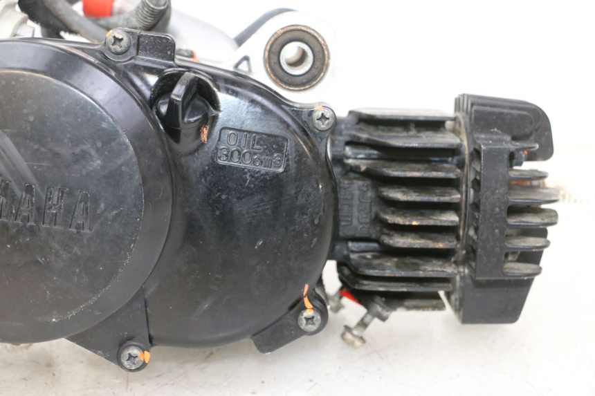 photo de MOTEUR YAMAHA PW 50 (1984 - 2020)