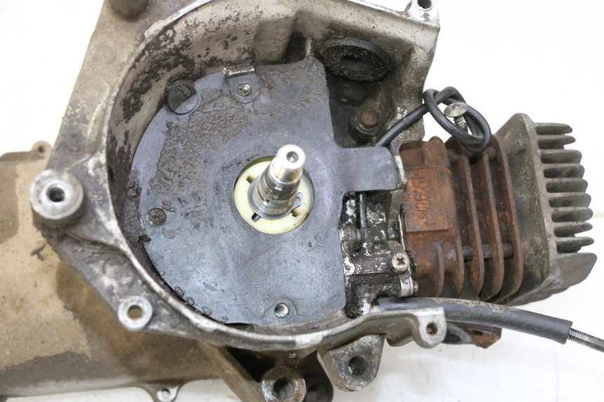 photo de MOTEUR TNT MOTOR ROMA 10' 2T 50 (2011 - 2018)