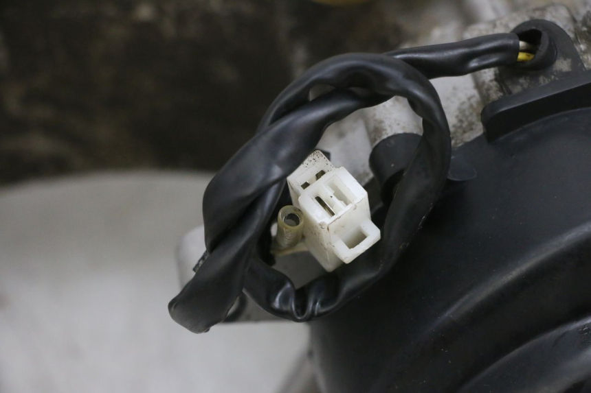 photo de MOTEUR TNT MOTOR ROMA 10' 4T 50 (2019 - 2022) - Zoom qualité