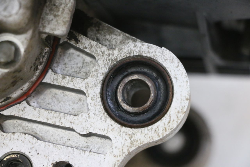 photo de MOTEUR TNT MOTOR ROMA 10' 4T 50 (2019 - 2022) - État de surface