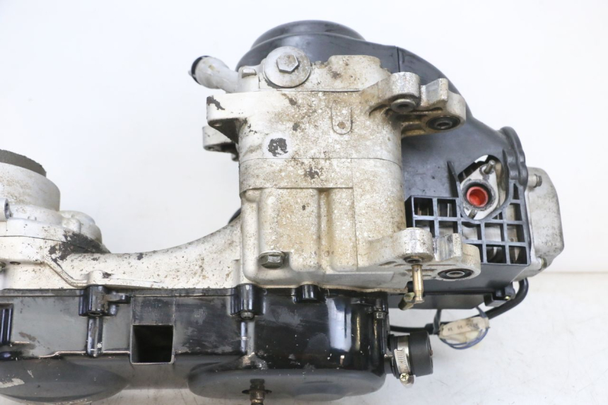 photo de MOTEUR TNT MOTOR ROMA 10' 4T 50 (2019 - 2022) - Marquages et références