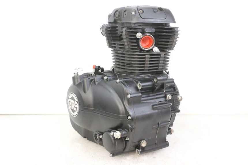 photo de MOTEUR ROYAL ENFIELD HYMALAYAN 410 (2016 - 2023)