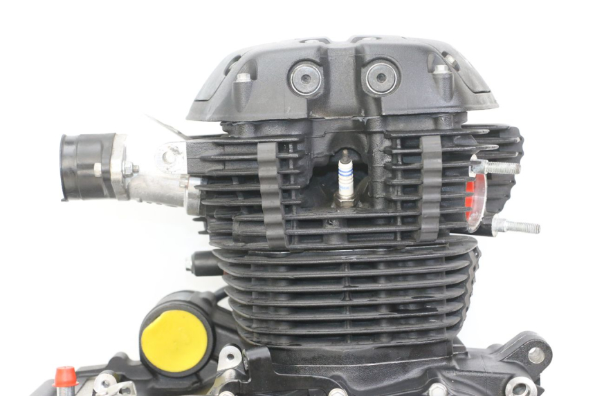 photo de MOTEUR ROYAL ENFIELD HYMALAYAN 410 (2016 - 2023)