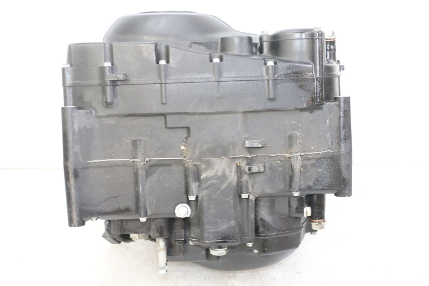 photo de MOTEUR ROYAL ENFIELD HYMALAYAN 410 (2016 - 2023)