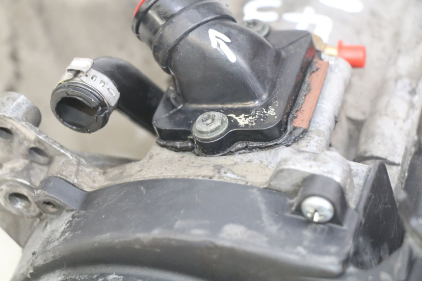 photo de MOTEUR GILERA RUNNER SP 50 (2009 - 2017)