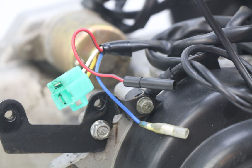 photo de MOTEUR JM MOTORS SANTANA 50 (2014 - 2020)