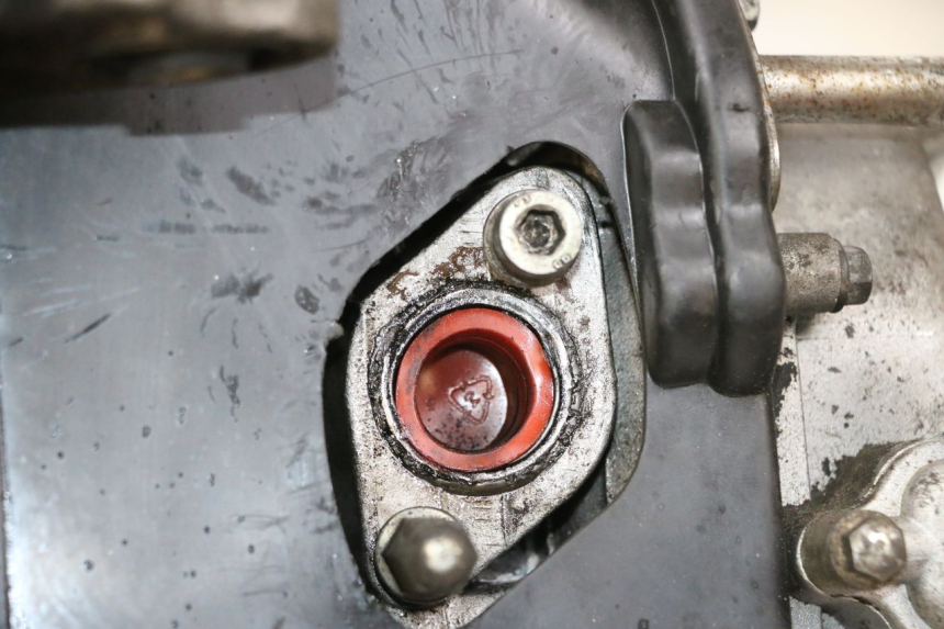 photo de MOTEUR JM MOTORS SANTANA 50 (2014 - 2023) - Gros plan technique