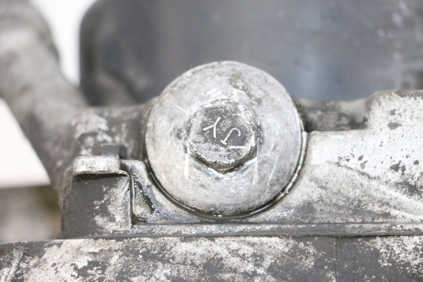 photo de MOTEUR JM MOTORS SANTANA 50 (2014 - 2023) - Vue d’ensemble