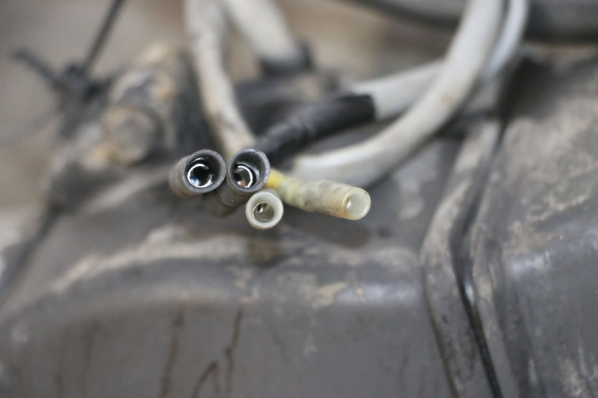 photo de MOTEUR HONDA SCV LEAD 100 (2003 - 2007)