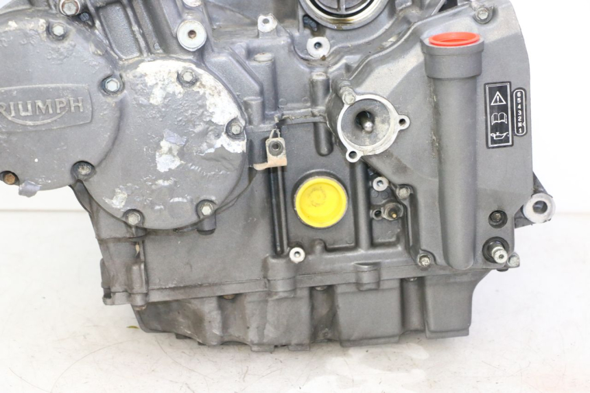 photo de MOTEUR TRIUMPH SPRINT 900 (1995 - 1998)