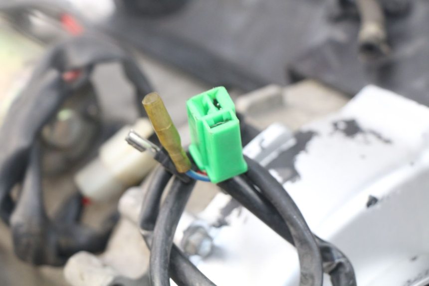 photo de MOTEUR JM MOTORS SUNNY 50 (2017 - 2020)