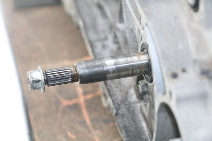 photo de MOTEUR JM MOTORS SUNNY 50 (2017 - 2020)