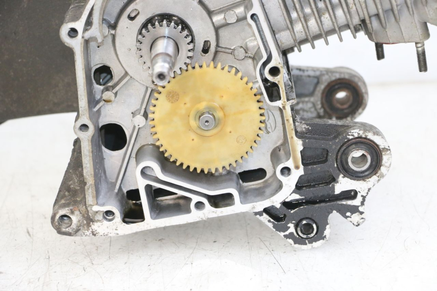 photo de MOTEUR JM MOTORS SUNNY 50 (2017 - 2020)