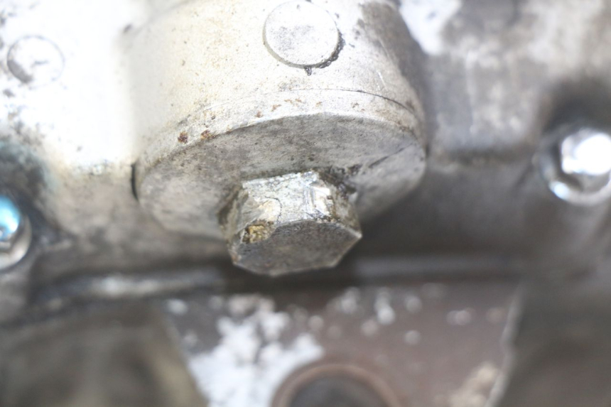 photo de MOTEUR PEUGEOT TWEET 4T 50 (2018 - 2020)