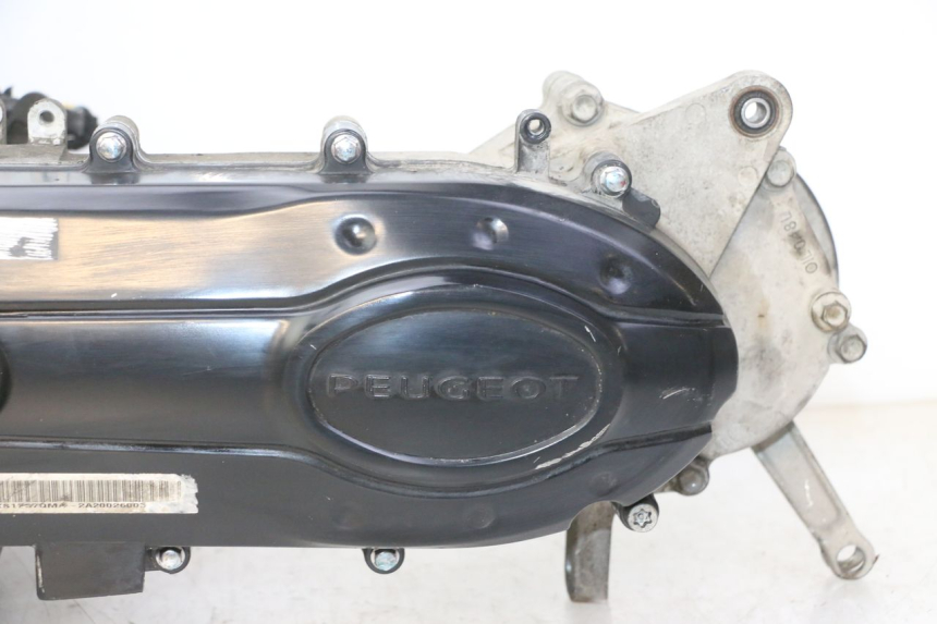 photo de MOTEUR PEUGEOT TWEET 4T 50 (2018 - 2020)