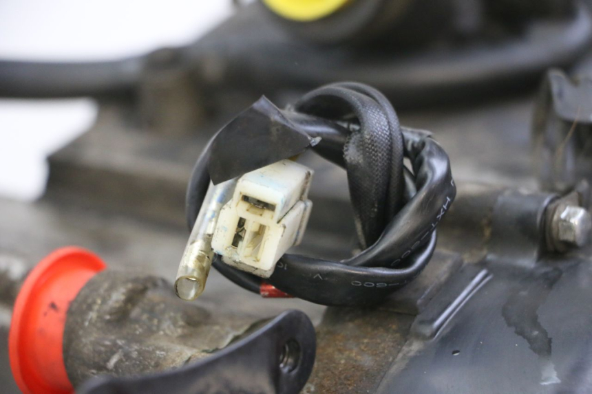 photo de MOTEUR PEUGEOT TWEET PRO CARGO 50 (2018 - 2020)