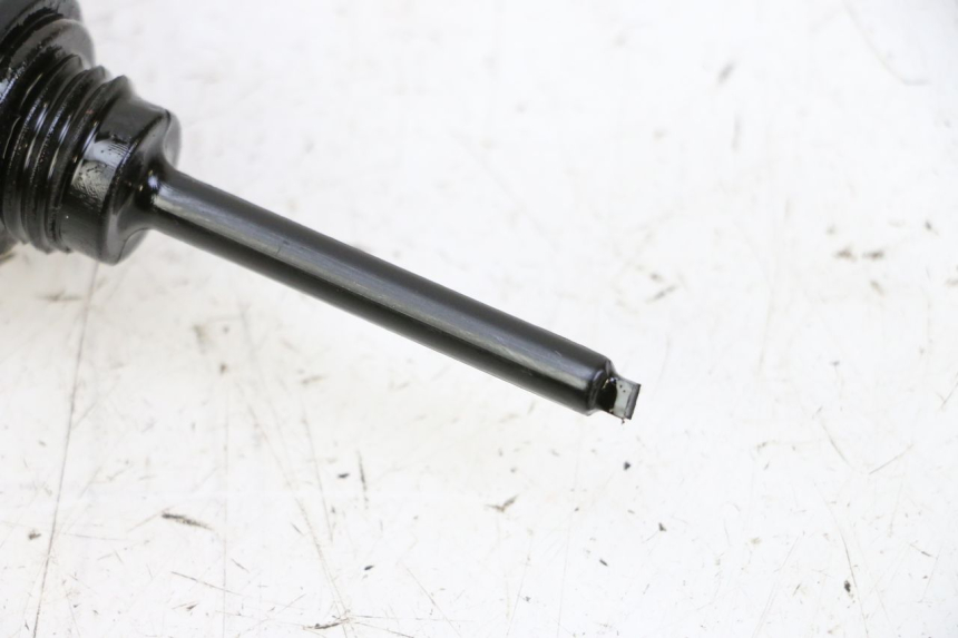 photo de MOTEUR PEUGEOT TWEET PRO CARGO 50 (2018 - 2020)