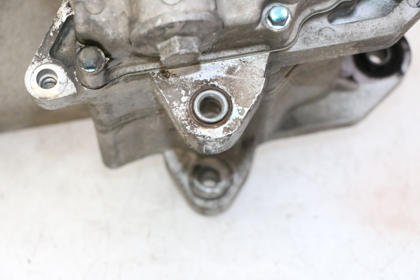 photo de MOTEUR PEUGEOT TWEET PRO CARGO 50 (2018 - 2020)