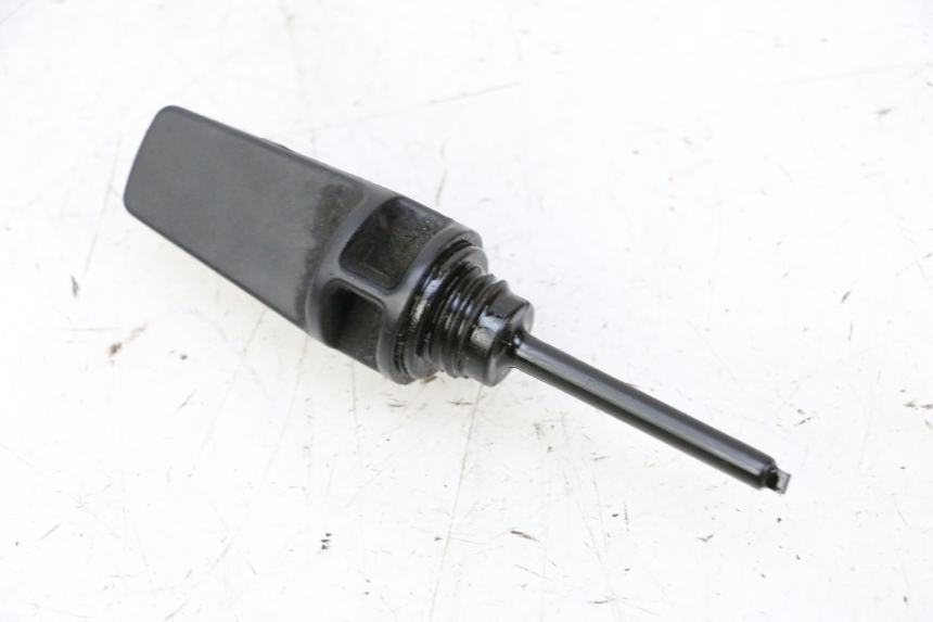 photo de MOTEUR PEUGEOT TWEET PRO CARGO 50 (2018 - 2020)