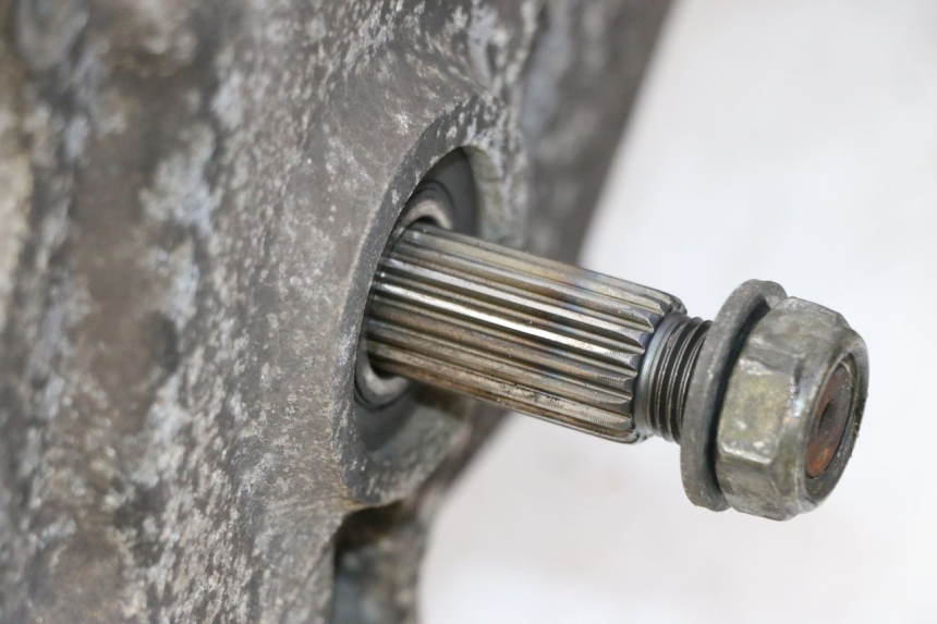 photo de MOTEUR PEUGEOT TWEET PRO CARGO 50 (2018 - 2020)