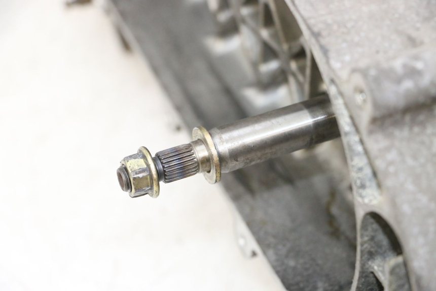 photo de MOTEUR PEUGEOT TWEET PRO CARGO 50 (2018 - 2020)