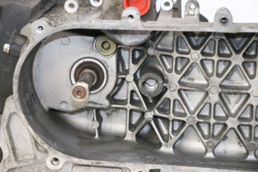 photo de MOTEUR PEUGEOT TWEET PRO CARGO 50 (2018 - 2020)