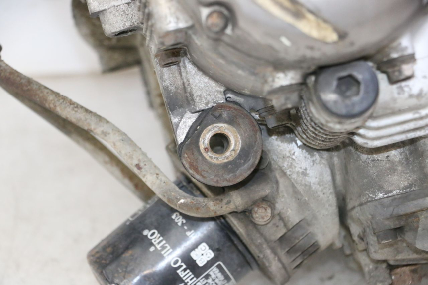 photo de MOTEUR YAMAHA XJN DIVERSION 600 (2000 - 2003)