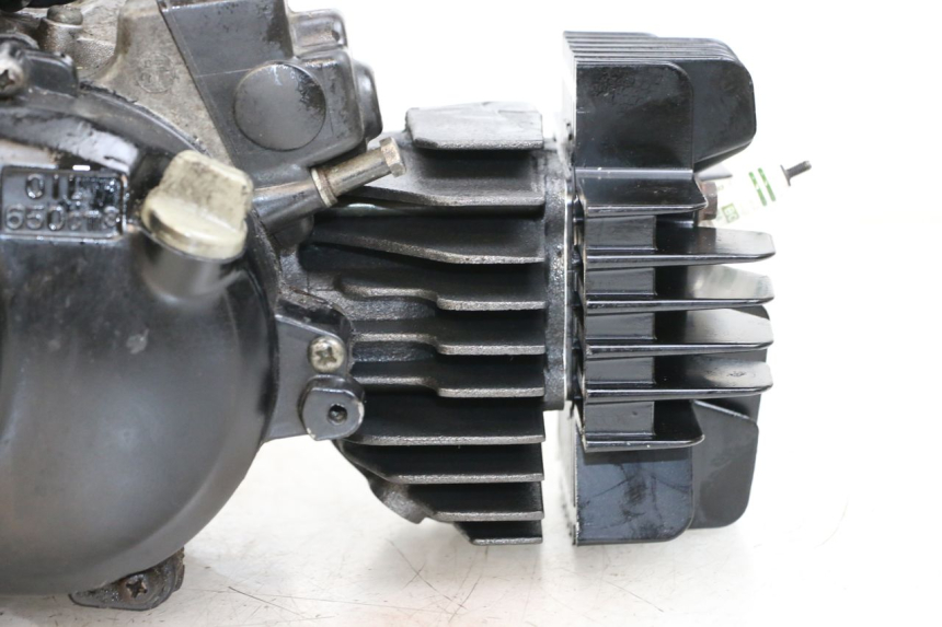 photo de MOTEUR YAMAHA PW 80 (1983 - 2014)