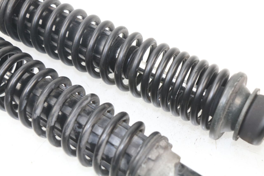 photo de PAIRE AMORTISSEUR ARRIERE PIAGGIO VESPA GTS SUPER IE 125 (2009 - 2016) - Vue d’ensemble