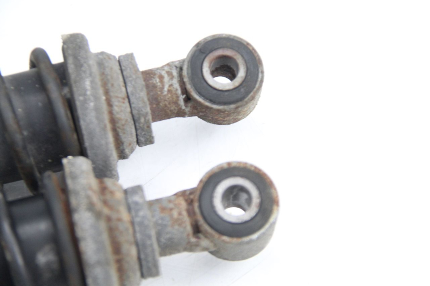 photo de PAIRE AMORTISSEUR ARRIERE PIAGGIO X9 EVOLUTION 125 (2003 - 2007)